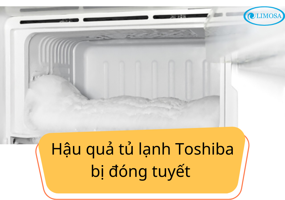 hậu quả tủ lạnh Toshiba bị đông tuyết