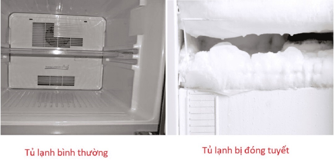 sửa tủ lạnh bị hư quạt