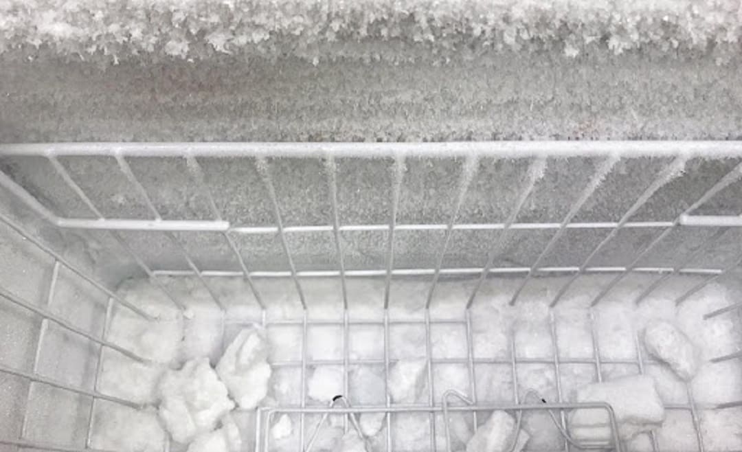 Tủ Lạnh SANYO 250 lít tủ không đông tuyết đời mới nguyên zing 100% – Điện  Máy Minh Thành Phát