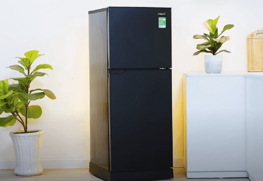 review tủ lạnh Aqua Inverter 186 lít AQR-T219FA-PB