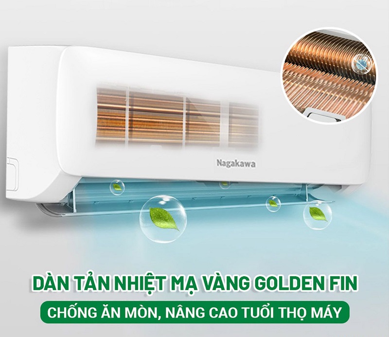 được phủ golden fin