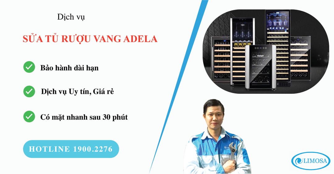 sửa tủ rượu vang Adela limosa