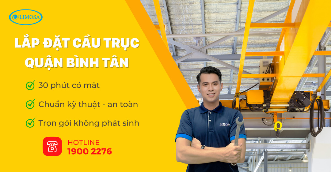 Lắp Đặt Cầu Trục Quận Bình Tân Limosa