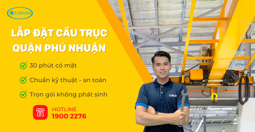 Lắp Đặt Cầu Trục Quận Phú Nhuận Limosa