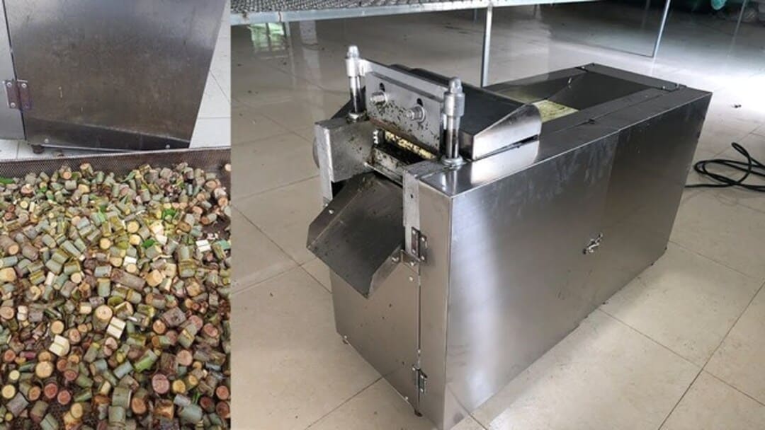 sửa máy sao dược liệu