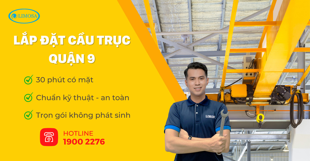 Lắp Đặt Cầu Trục Quận 9 Limosa