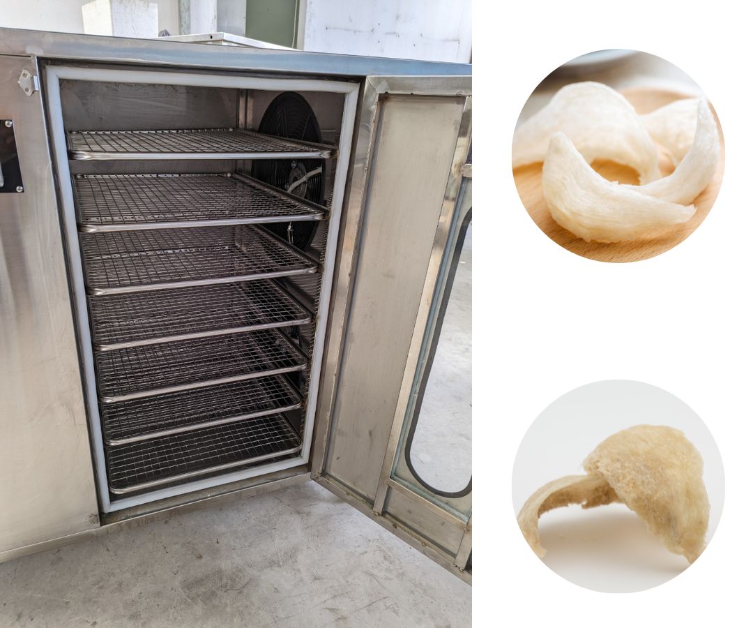 sửa máy sấy yến