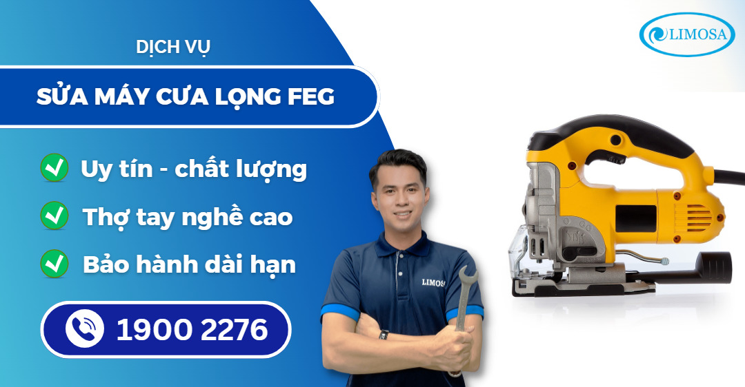 sửa máy cưa lọng FEG Limosa