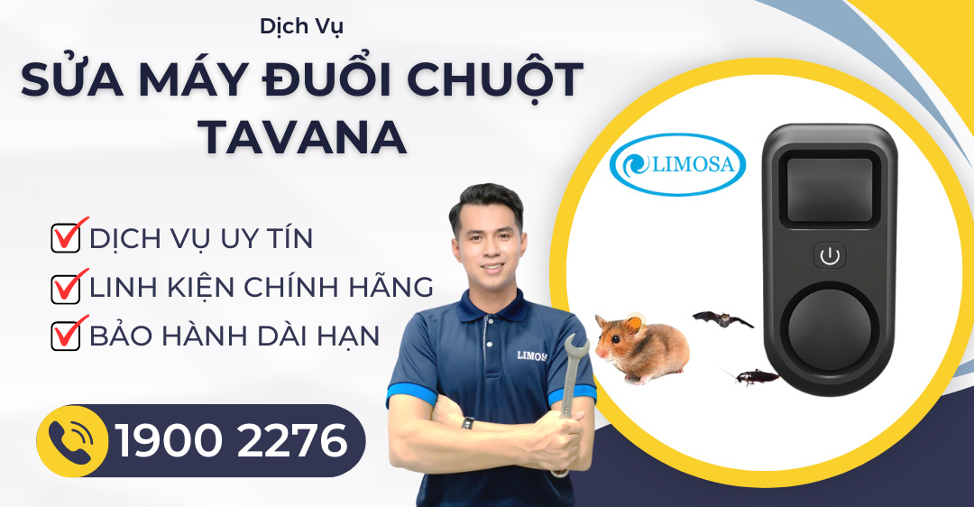 Sửa Máy Đuổi Chuột Tavana Limosa