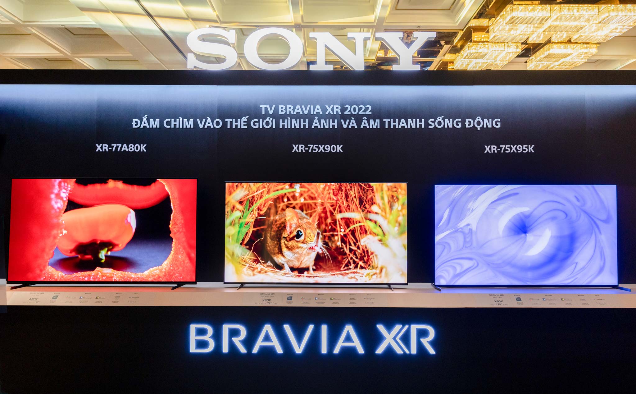 sony