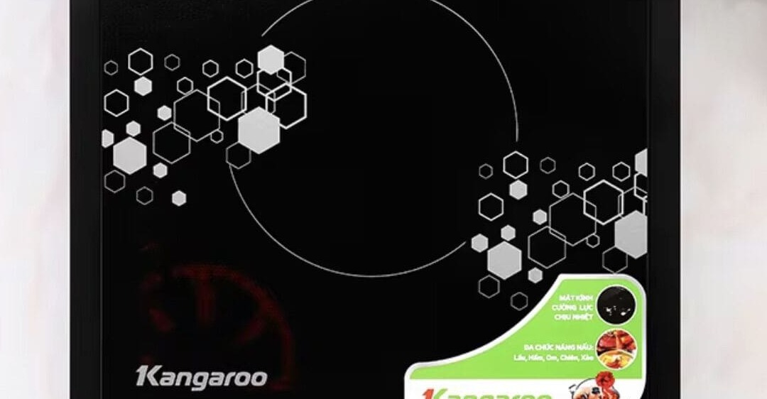 bếp từ kangaroo bị lỗi e2