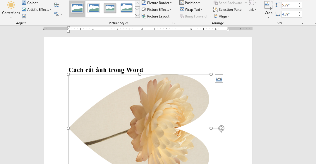 Cách cắt ảnh trong word
