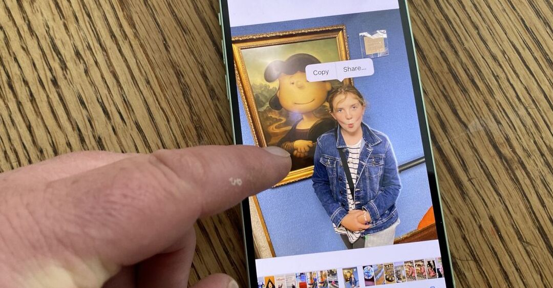 Cách nâng chủ thể ra khỏi ảnh bằng Visual Look Up trên iOS 16