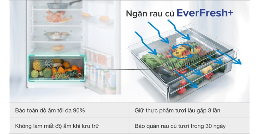 các công nghệ bảo quản thực phẩm trên tủ lạnh Beko