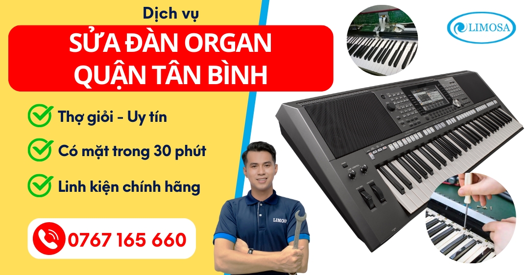 Sửa Đàn Organ Quận Tân Bình Limosa