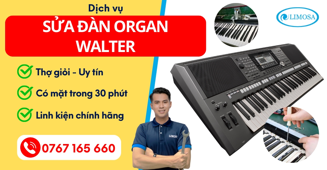Sửa Đàn Organ Walter Limosa