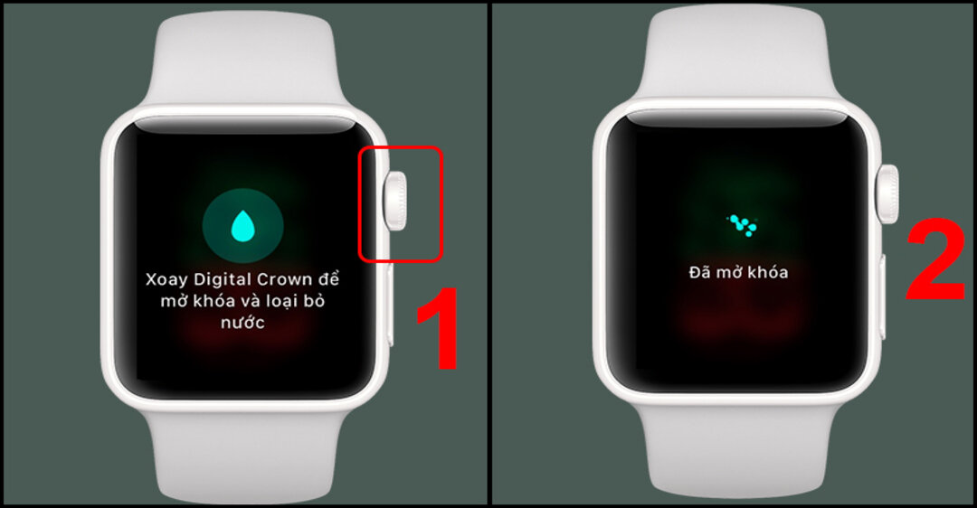 Hướng dẫn cách sử dụng khóa nước trên Apple Watch