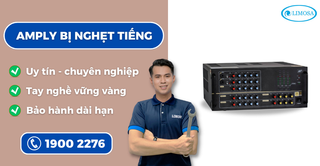 amply bị nghẹt tiếng Limosa
