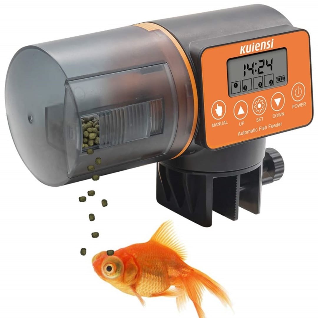 nơi sửa máy cho cá ăn tư động