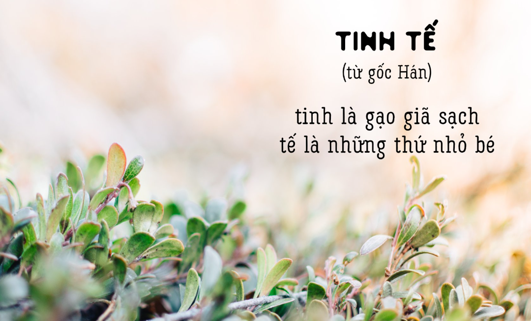 Tinh tế là gì và làm thế nào để trở thành người tinh tế