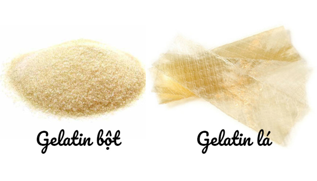 Gelatin là gì