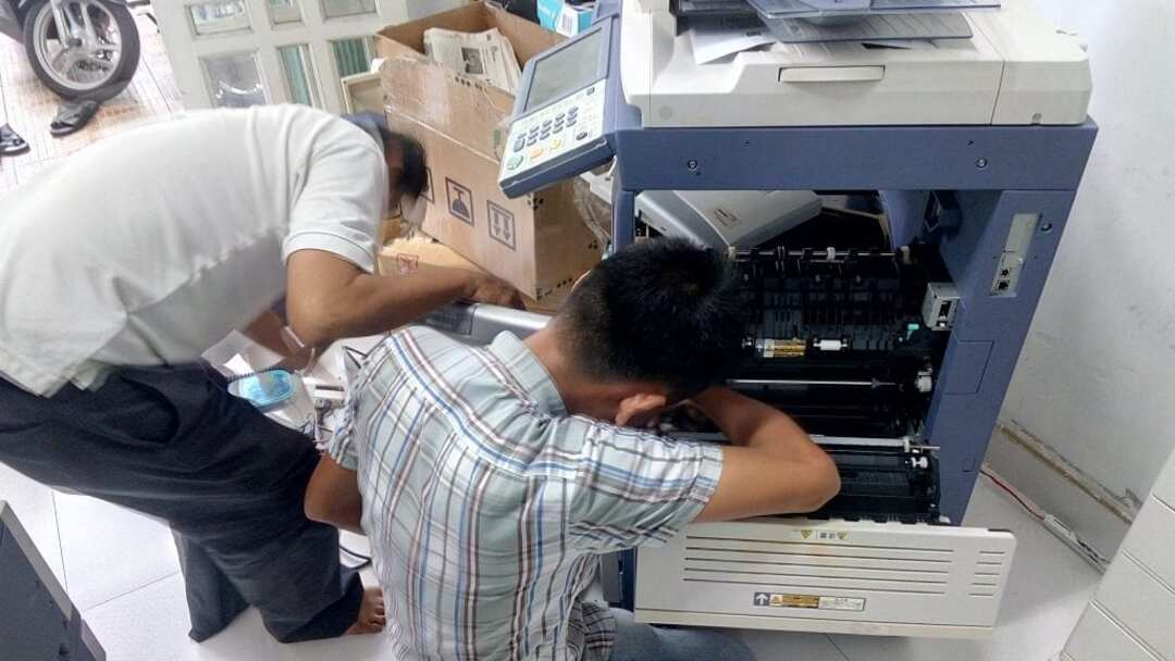 Công ty Đỉnh Vàng
