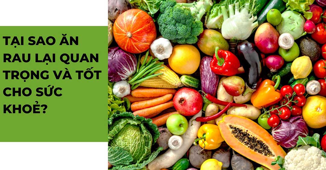 Chất dinh dưỡng và vitamin trong rau