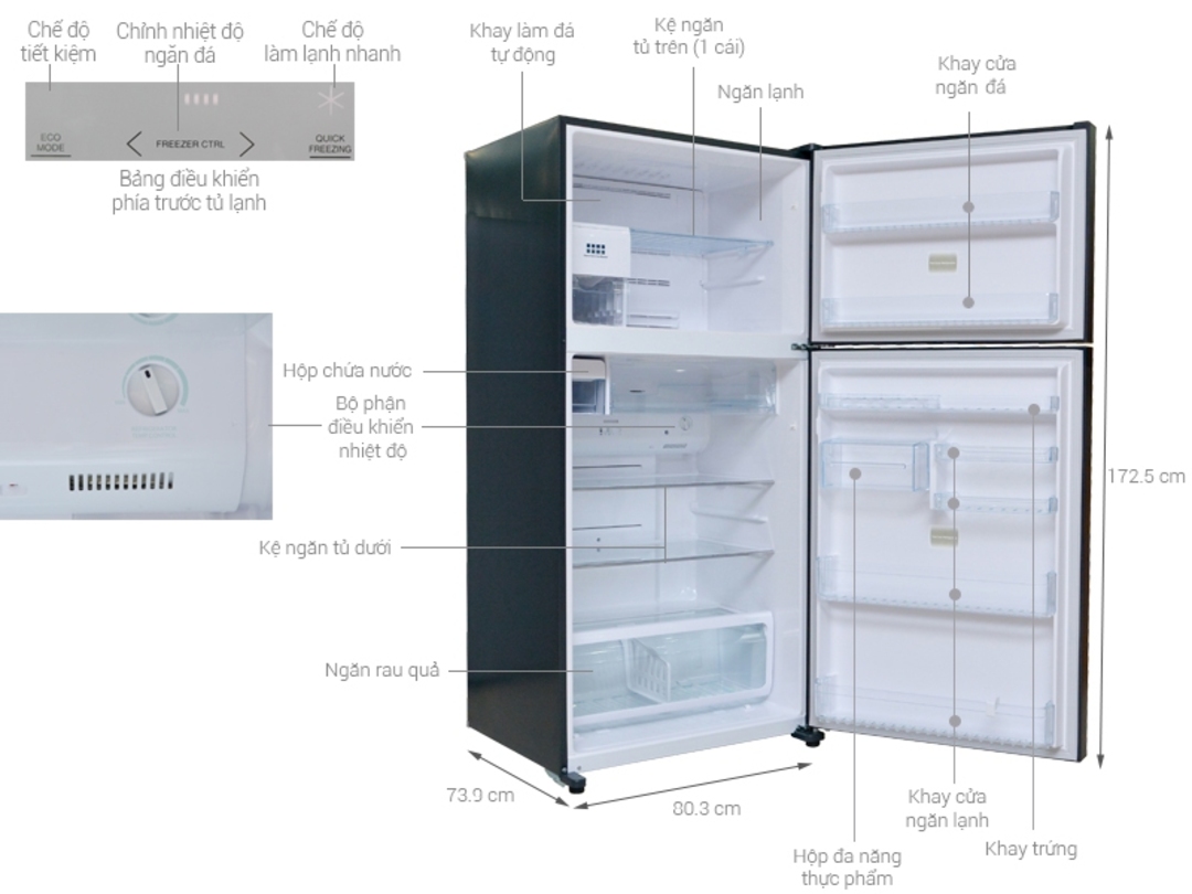 Cấu tạo tủ đông vs ngăn đá tủ lạnh