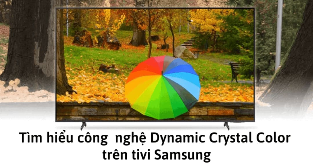 Dynamic Crystal Color là gì