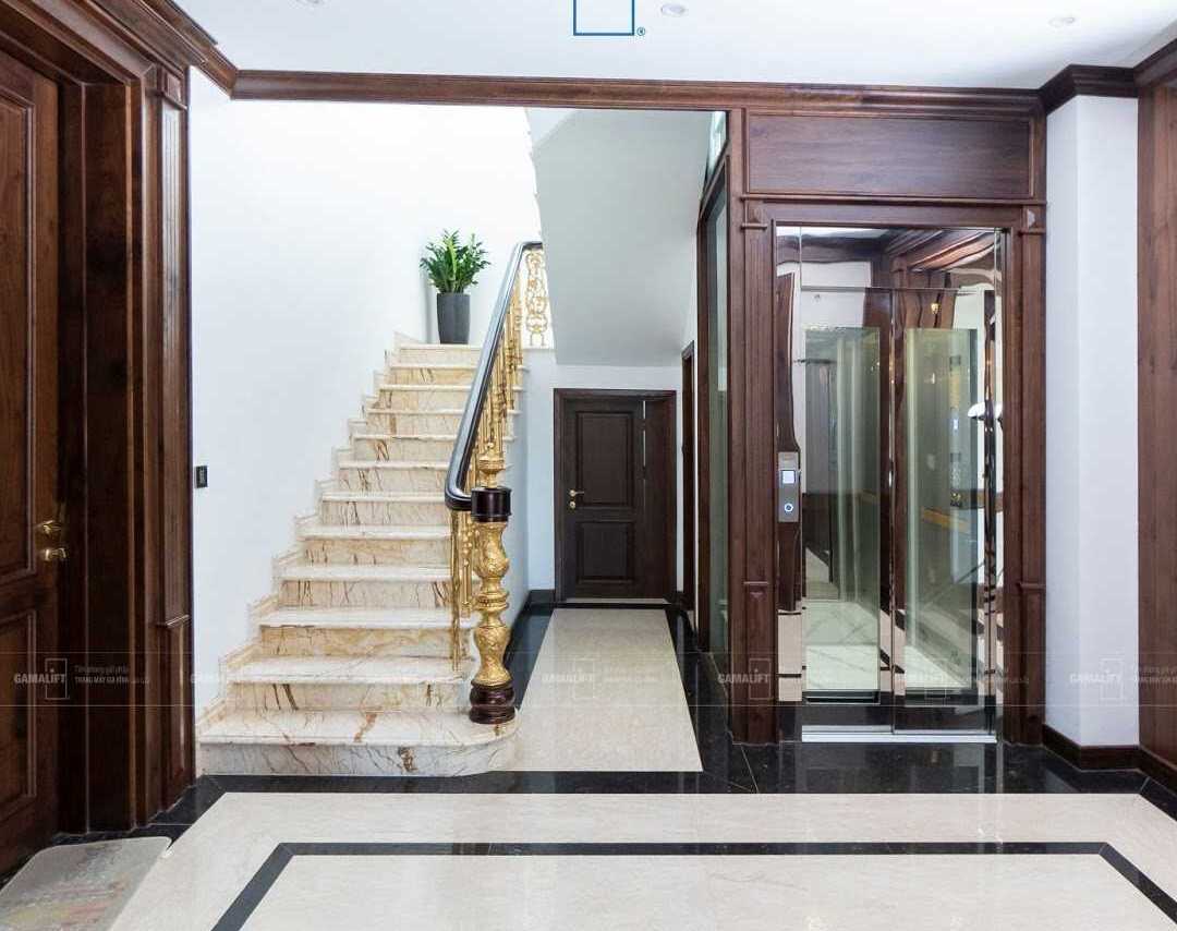 Có bao nhiêu loại thang máy