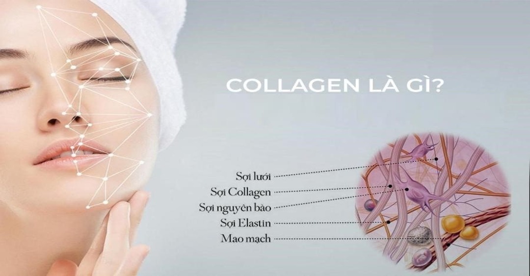 Collagen là gì