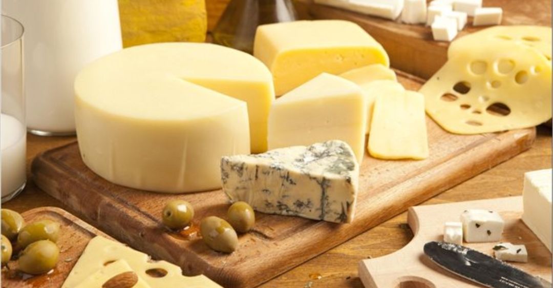 cheese là gì