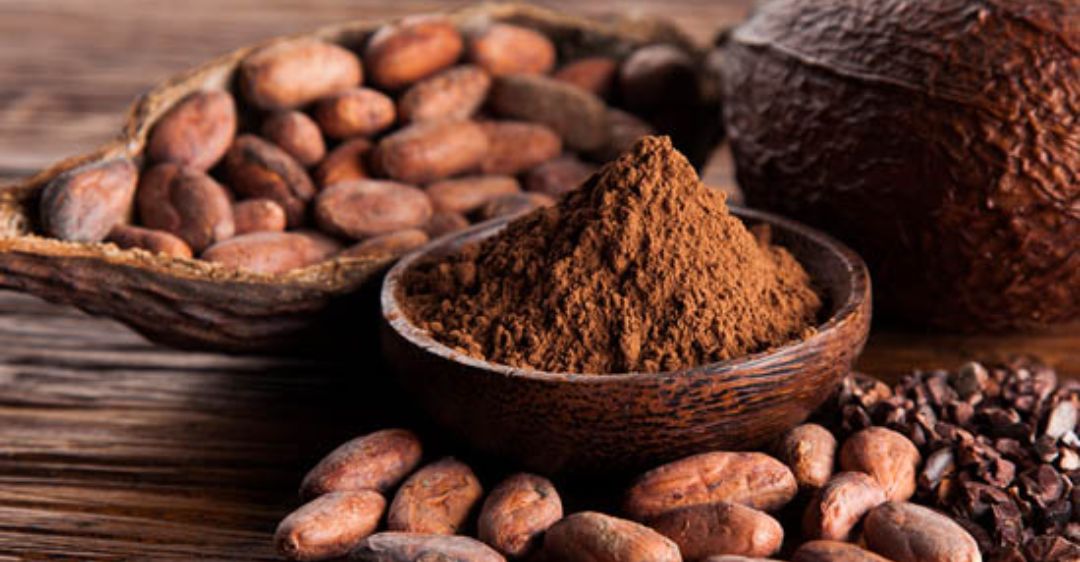 giá trị dinh dưỡng của cacao