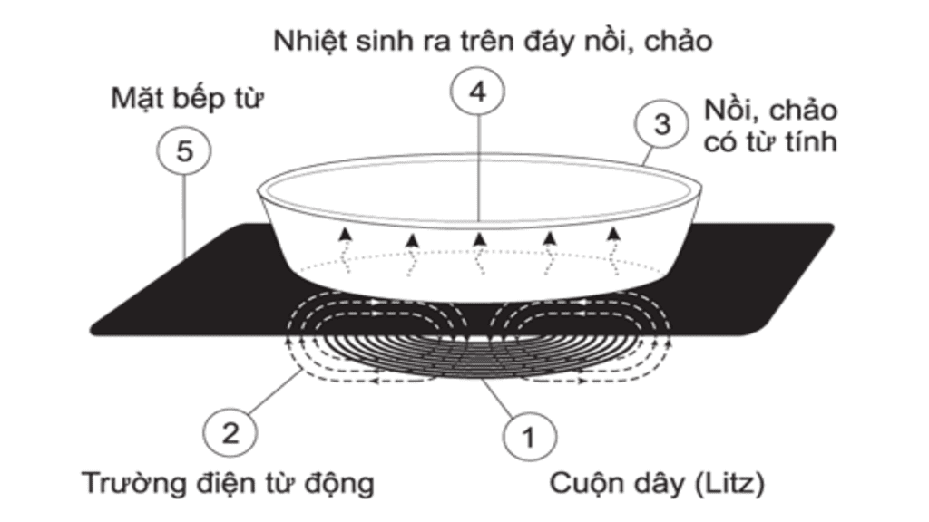 cấu tạo của bếp từ