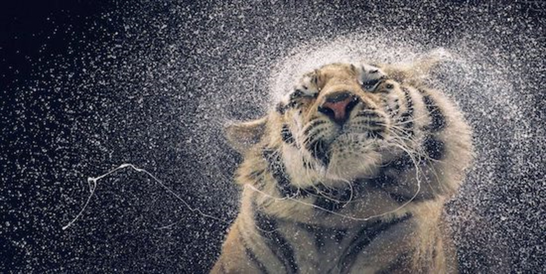 super-slow-motion