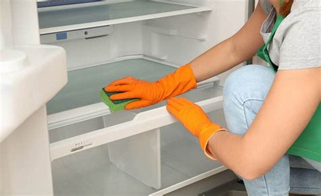 Hướng dẫn khử mùi tủ lạnh đơn giản và hiệu quả tại nhà