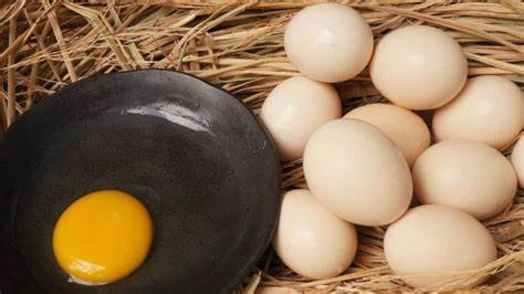 Thời gian bảo quản trứng tốt và hiệu quả