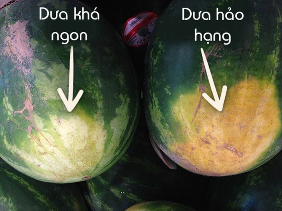 Cách chọn dưa hấu ngon để được lâu hơn