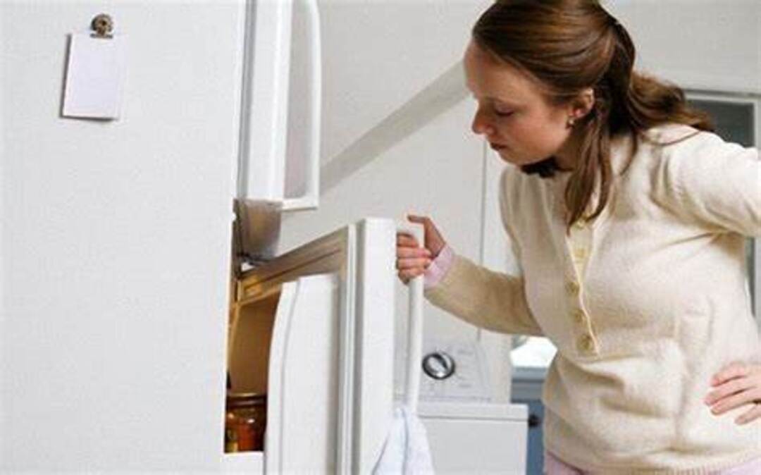 Khí làm lạnh trong tủ lạnh là gì?