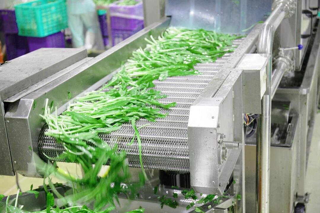 Sửa máy sơ chế rau củ quả limosa