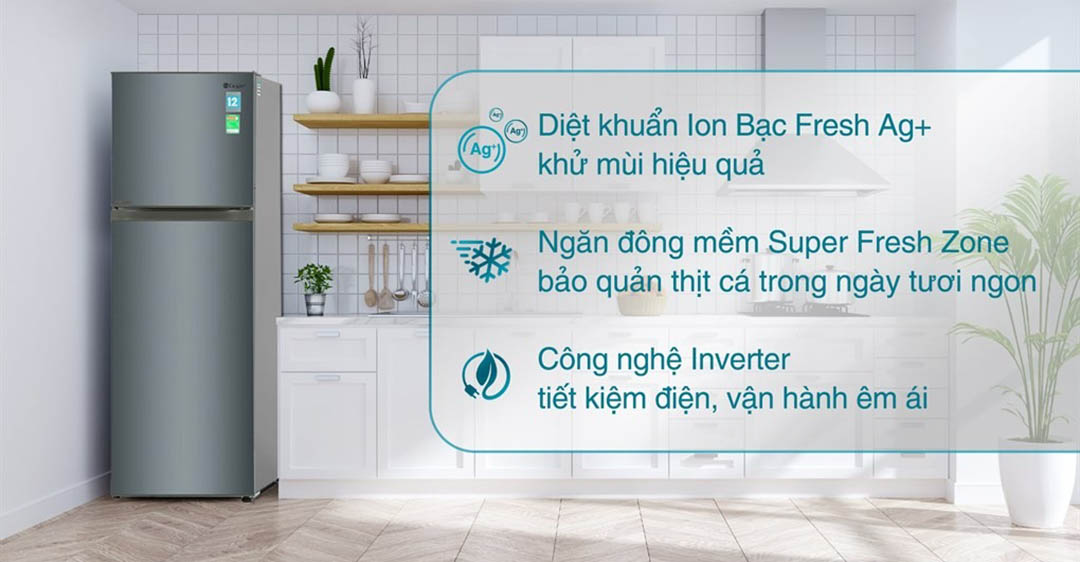 Casper Inverter 258 lít RT-270VD