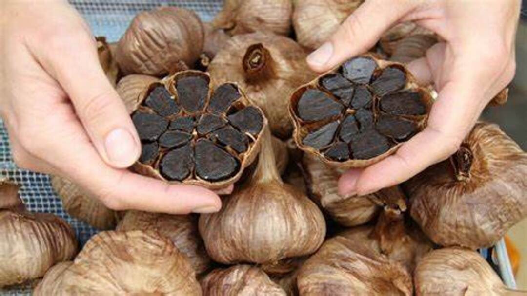 Cách bảo quản tỏi đen đúng chuẩn