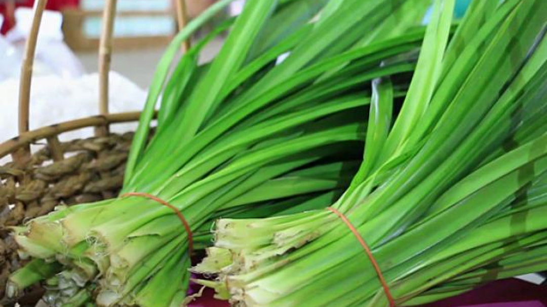 Chọn mua lá dứa tươi