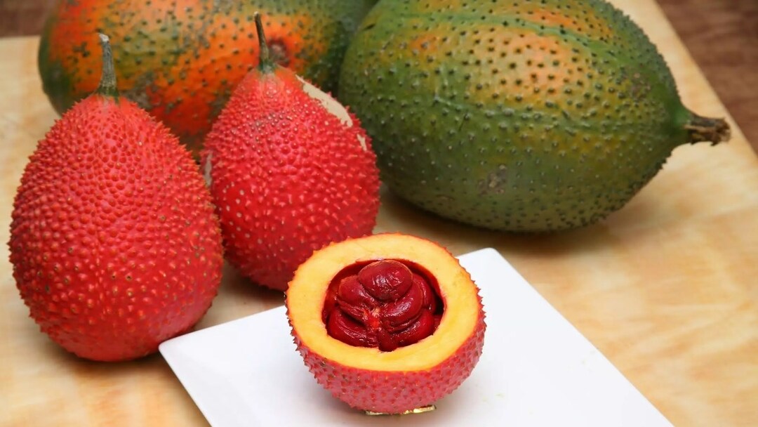 Nguyên liệu làm xôi gấc