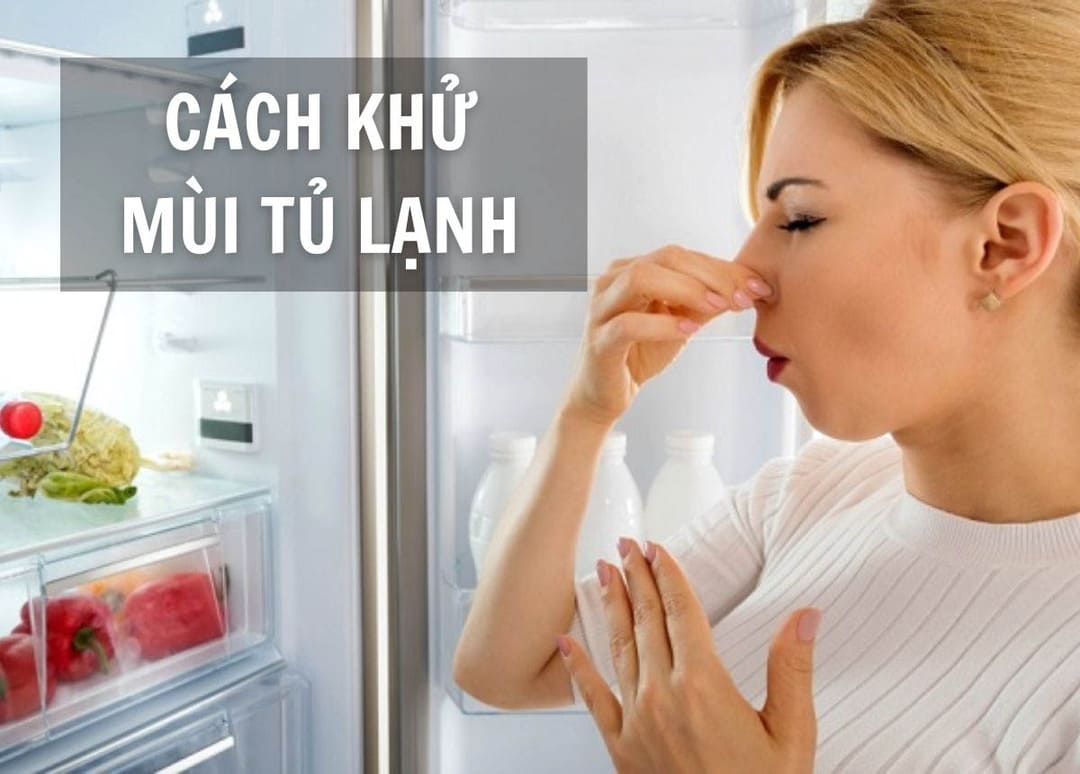 Tại sao tủ lạnh có mùi hôi