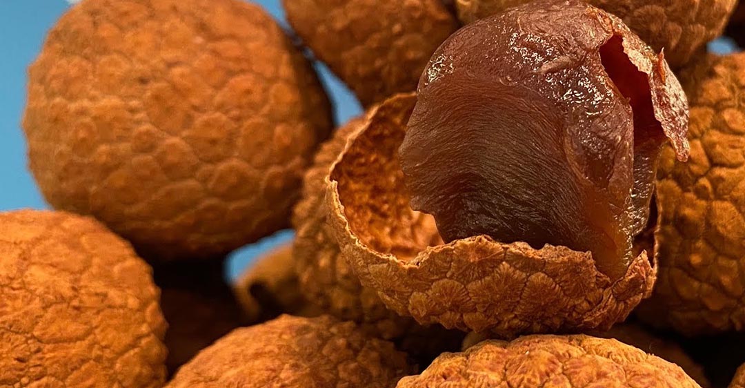 Trái vải thiều có thể sấy khô hay không