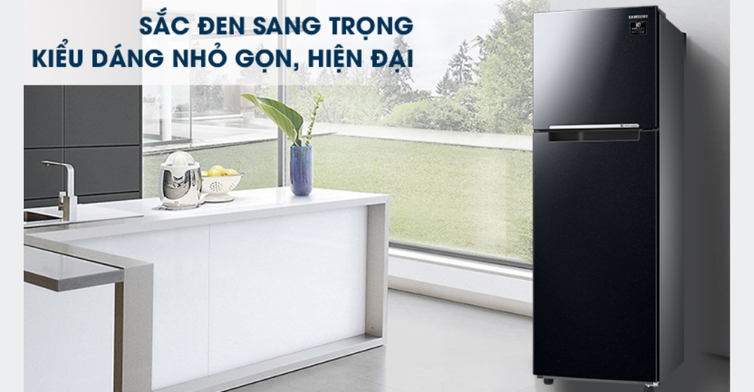 Tủ lạnh Samsung 2 cánh Inverter 256 lít RT25M4032BU/SV