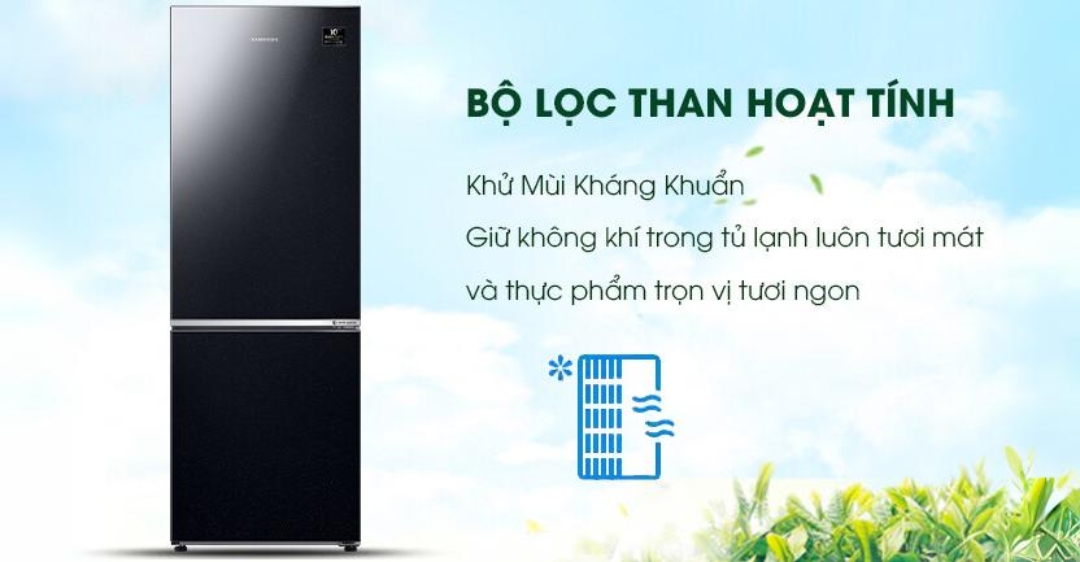 Tủ lạnh Samsung Inverter 310 lít RB30N4010BU/SV