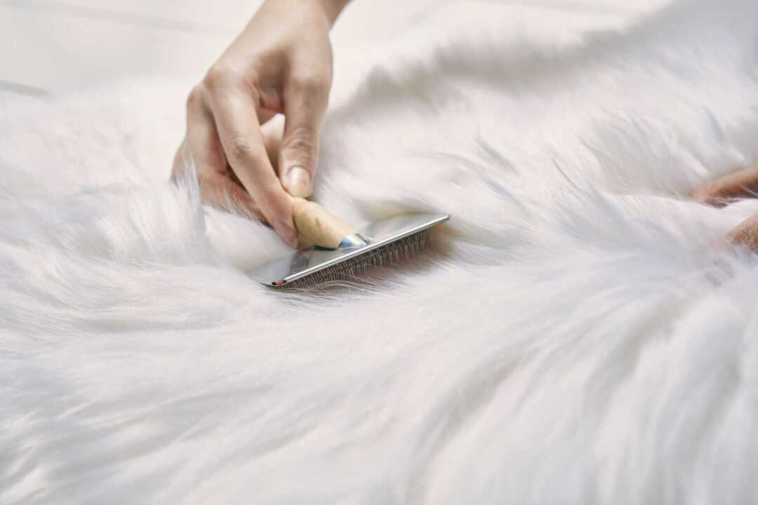 Làm thế nào để giặt áo lông cừu đúng cách