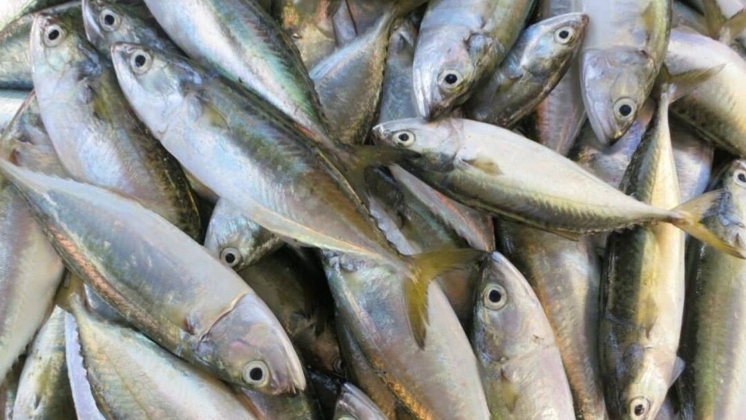 Mẹo mua nguyên liệu tươi, ngon để nấu canh